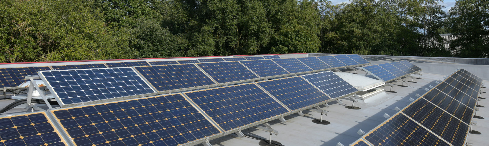 Reihe aufgeständerter Photovoltaikmodule